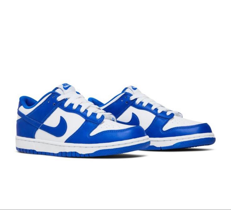 Side profile of the Nike Dunk Low Blue, showcasing the striking blue-and-white contrast and classic Nike Swoosh.